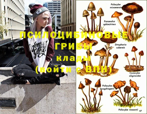 дживик Бугульма