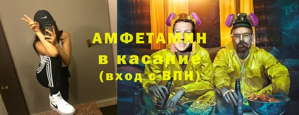 прущие грибы Беломорск