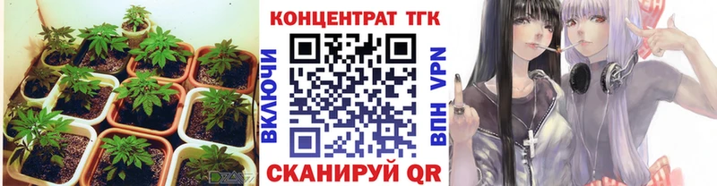 Купить где  Лабинск  Дистиллят ТГК THC oil 