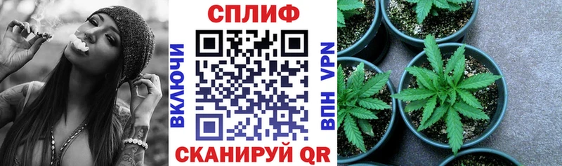 Бошки марихуана THC 21% Лабинск